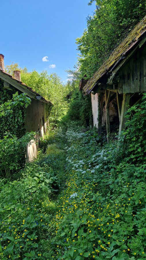 Dvorišče 01