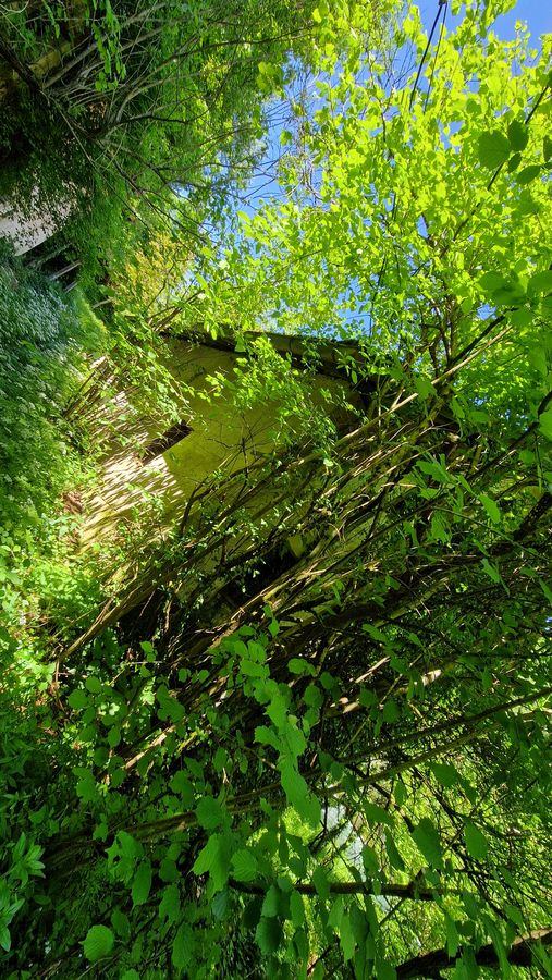 Dvorišče 02