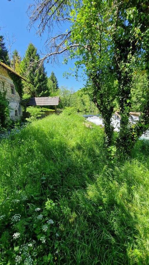 Osredek, pogled gor 03