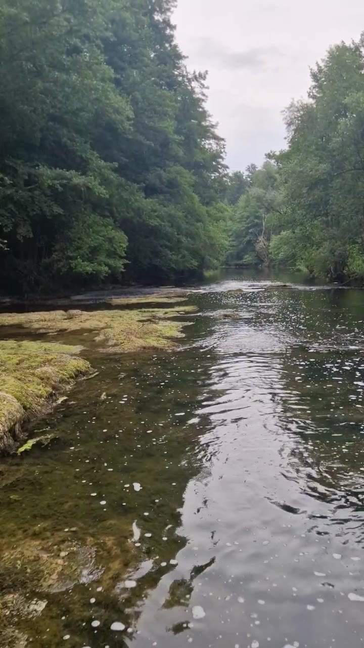 Video: pod slapom
