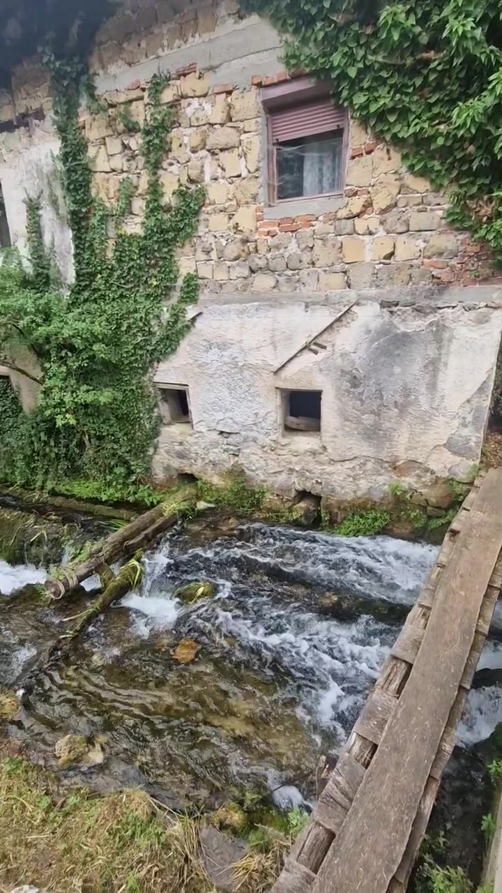 Video: zapornice